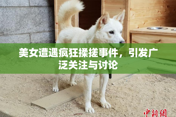 美女遭遇疯狂揉搓事件，引发广泛关注与讨论