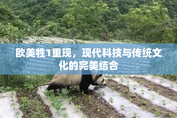欧美牲1重现，现代科技与传统文化的完美结合