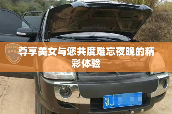 尊享美女与您共度难忘夜晚的精彩体验
