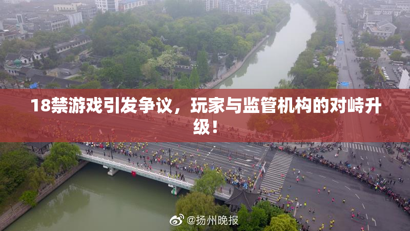 18禁游戏引发争议，玩家与监管机构的对峙升级！