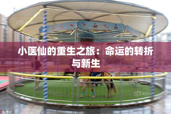 小医仙的重生之旅：命运的转折与新生