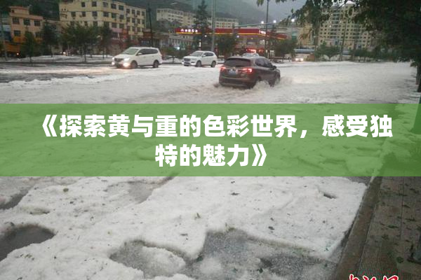 《探索黄与重的色彩世界，感受独特的魅力》
