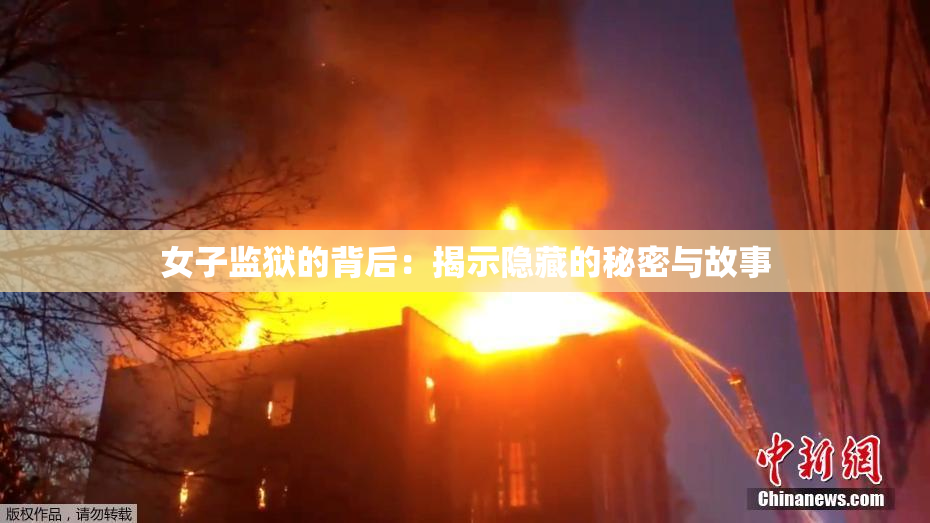 女子监狱的背后：揭示隐藏的秘密与故事