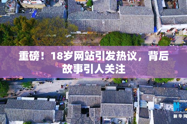 重磅！18岁网站引发热议，背后故事引人关注