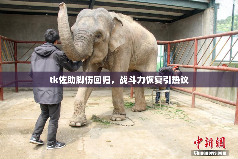 tk佐助脚伤回归，战斗力恢复引热议