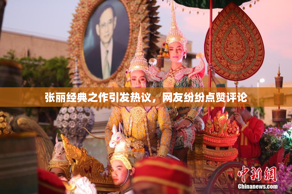 张丽经典之作引发热议，网友纷纷点赞评论