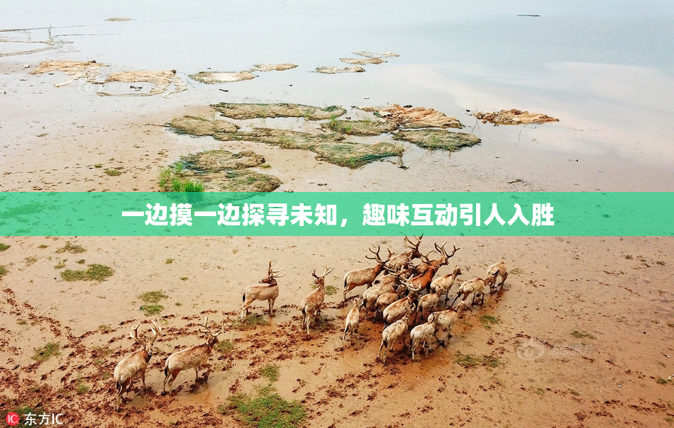 一边摸一边探寻未知，趣味互动引人入胜
