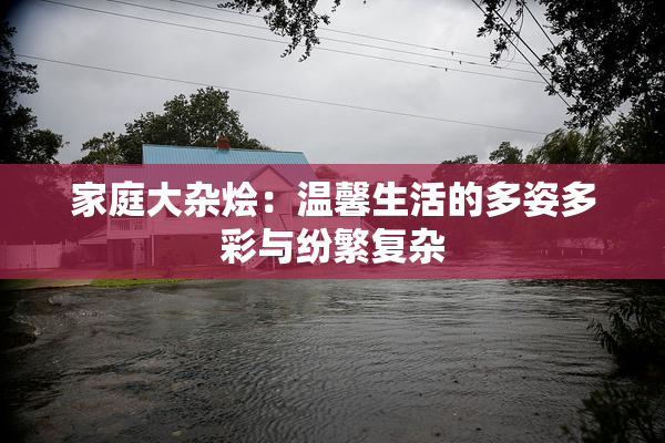 家庭大杂烩：温馨生活的多姿多彩与纷繁复杂