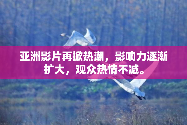 亚洲影片再掀热潮，影响力逐渐扩大，观众热情不减。