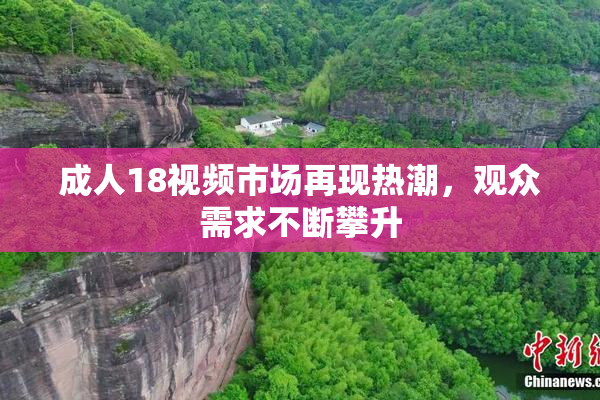 成人18视频市场再现热潮，观众需求不断攀升