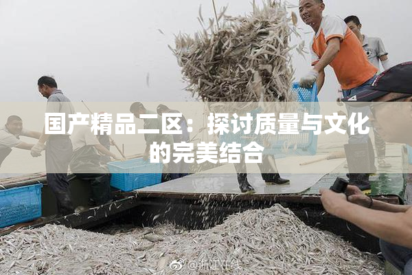 国产精品二区：探讨质量与文化的完美结合