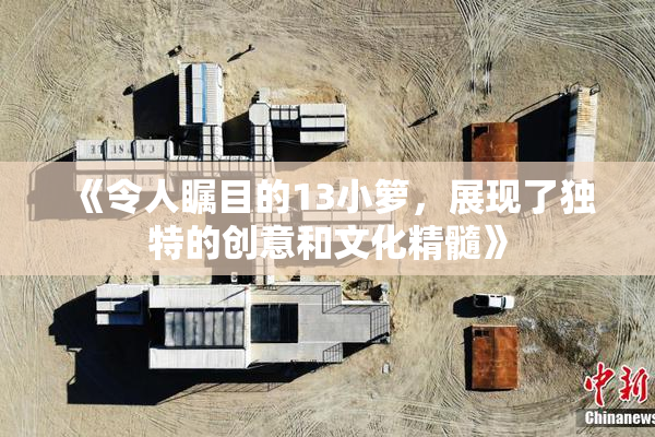 《令人瞩目的13小箩，展现了独特的创意和文化精髓》