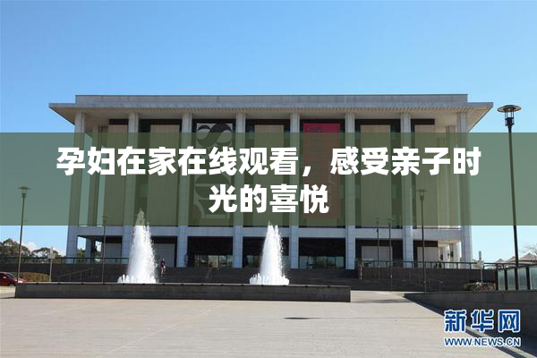 孕妇在家在线观看，感受亲子时光的喜悦