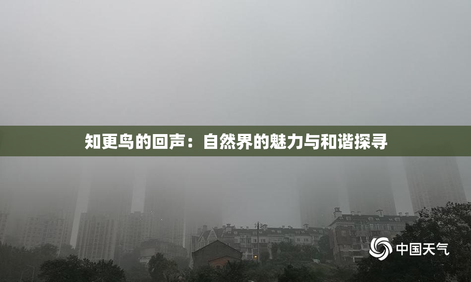 知更鸟的回声：自然界的魅力与和谐探寻