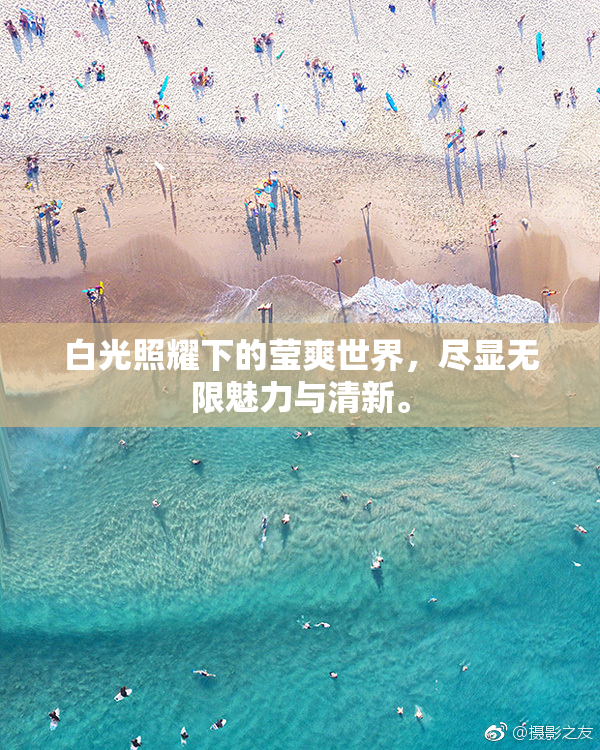 白光照耀下的莹爽世界，尽显无限魅力与清新。