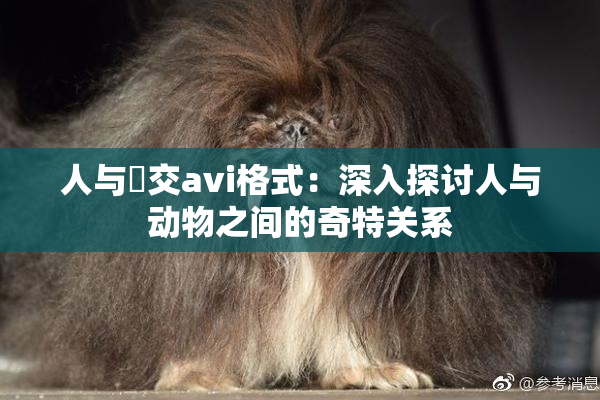 人与嘼交avi格式：深入探讨人与动物之间的奇特关系