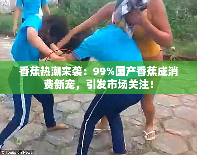 香蕉热潮来袭：99%国产香蕉成消费新宠，引发市场关注！