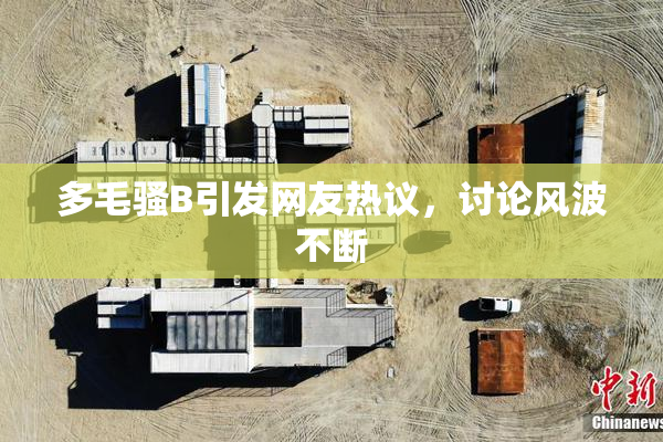 多毛骚B引发网友热议，讨论风波不断
