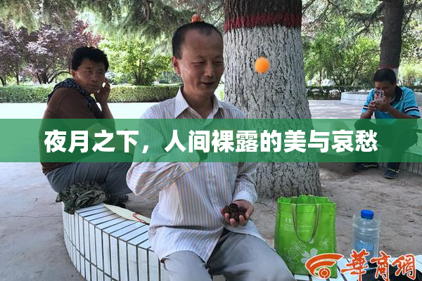夜月之下，人间裸露的美与哀愁