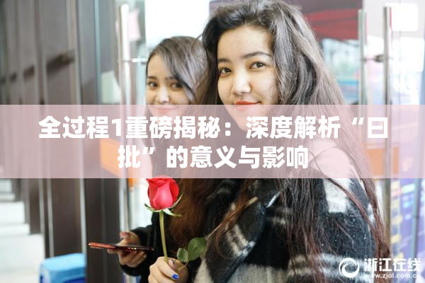 全过程1重磅揭秘：深度解析“曰批”的意义与影响