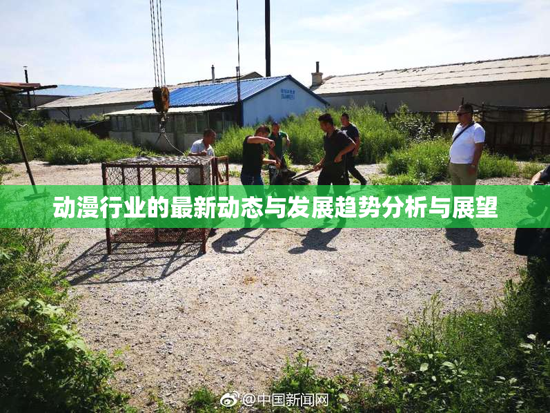 动漫行业的最新动态与发展趋势分析与展望