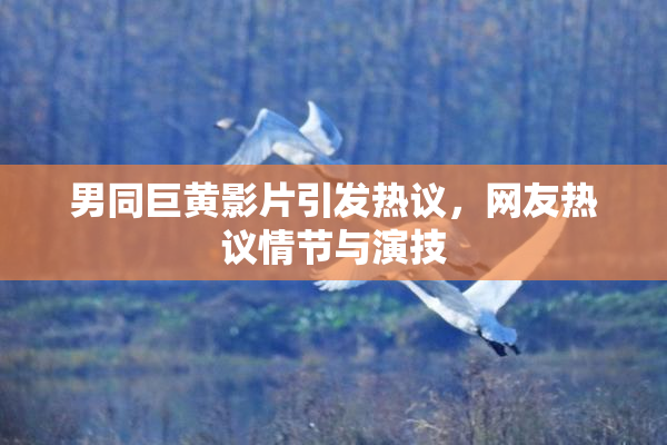 男同巨黄影片引发热议，网友热议情节与演技