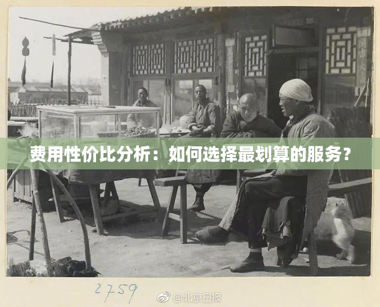 费用性价比分析：如何选择最划算的服务？