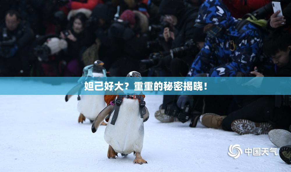 妲己好大？重重的秘密揭晓！