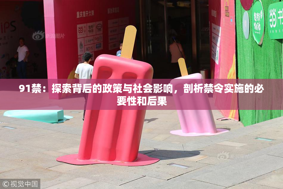 91禁：探索背后的政策与社会影响，剖析禁令实施的必要性和后果