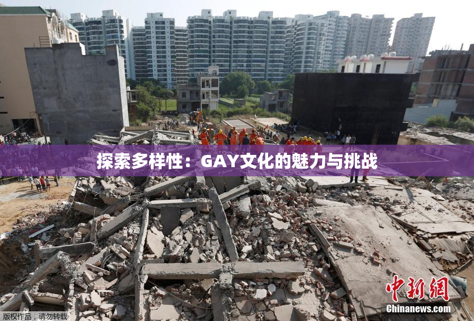 探索多样性：GAY文化的魅力与挑战