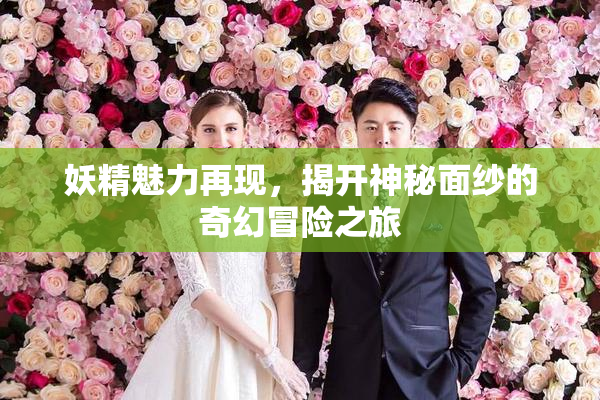妖精魅力再现，揭开神秘面纱的奇幻冒险之旅