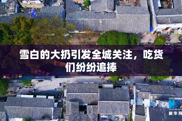 雪白的大扔引发全城关注，吃货们纷纷追捧