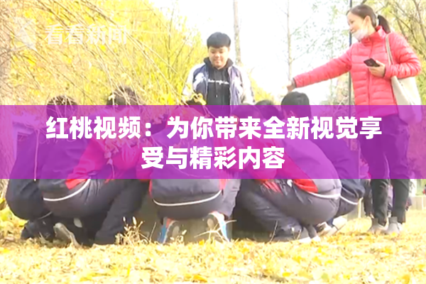 红桃视频：为你带来全新视觉享受与精彩内容