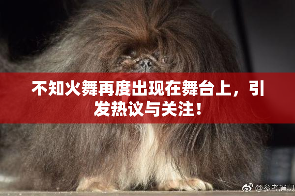 不知火舞再度出现在舞台上，引发热议与关注！