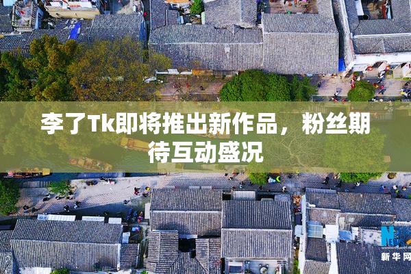 李了Tk即将推出新作品，粉丝期待互动盛况