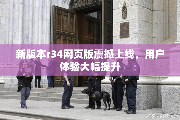 新版本r34网页版震撼上线，用户体验大幅提升