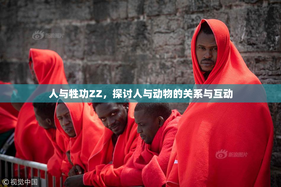 人与牲功ZZ，探讨人与动物的关系与互动