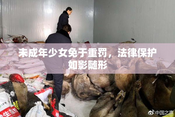 未成年少女免于重罚，法律保护如影随形