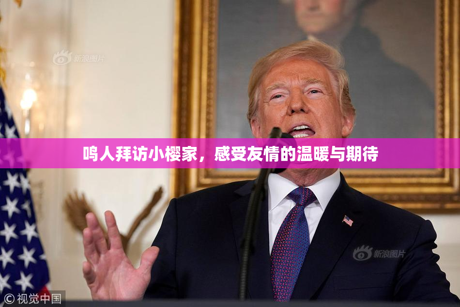 鸣人拜访小樱家，感受友情的温暖与期待
