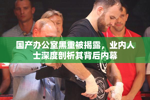 国产办公室黑重被揭露，业内人士深度剖析其背后内幕