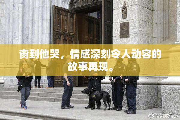 脔到他哭，情感深刻令人动容的故事再现。