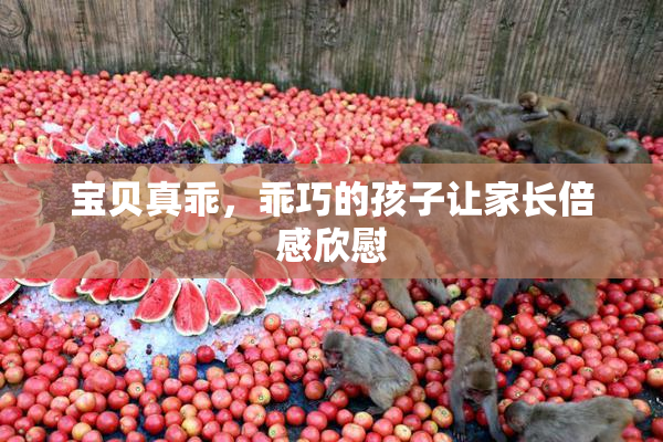 宝贝真乖，乖巧的孩子让家长倍感欣慰