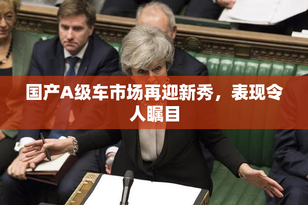国产A级车市场再迎新秀，表现令人瞩目