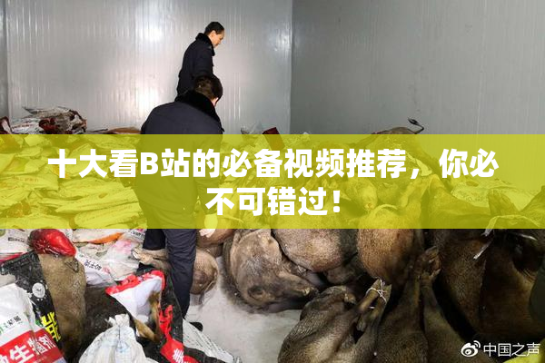 十大看B站的必备视频推荐，你必不可错过！