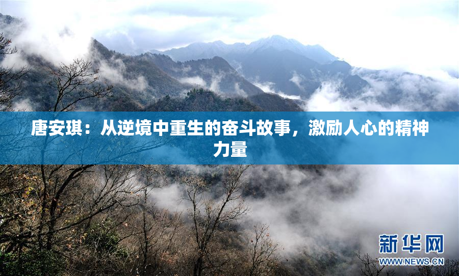 唐安琪：从逆境中重生的奋斗故事，激励人心的精神力量