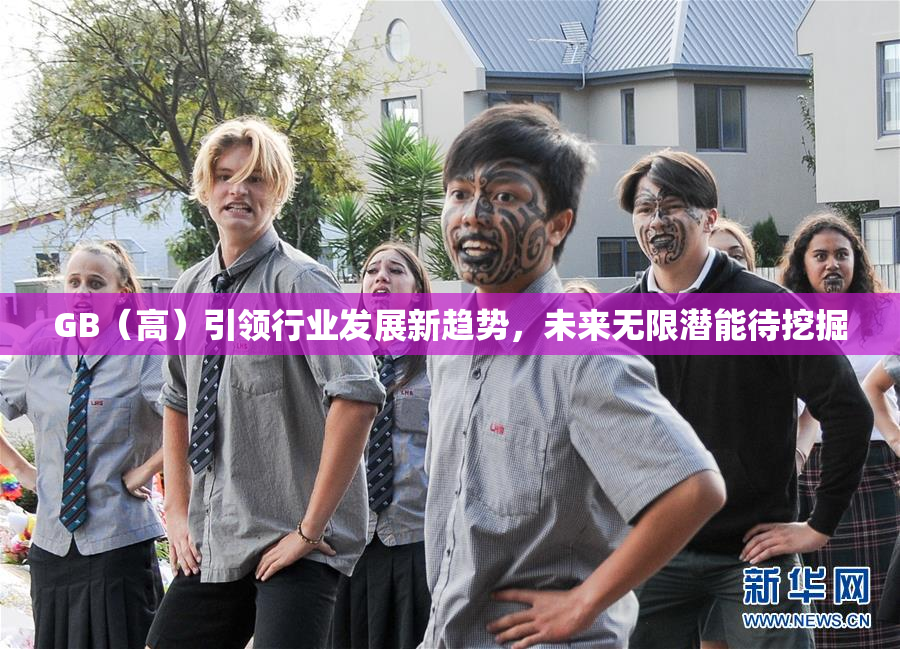 GB（高）引领行业发展新趋势，未来无限潜能待挖掘
