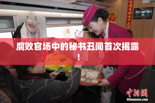 腐败官场中的秘书丑闻首次揭露！