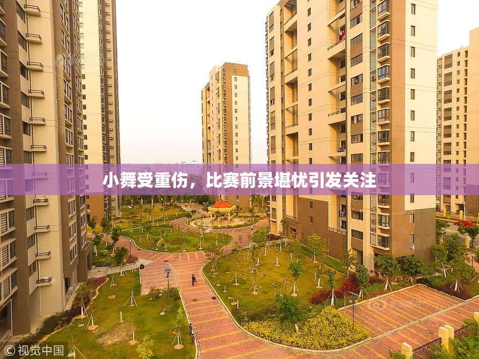 小舞受重伤，比赛前景堪忧引发关注
