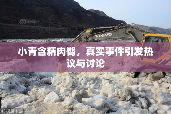 小青含精肉臀，真实事件引发热议与讨论