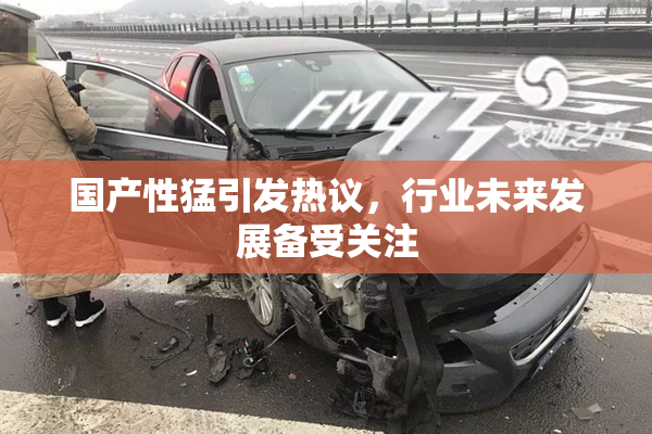 国产性猛引发热议，行业未来发展备受关注